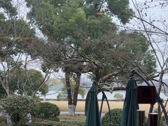 -浙江西子宾馆·瑶园咖啡厅