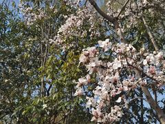 -白塘生态植物园