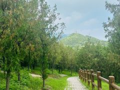 -白水寺森林公园