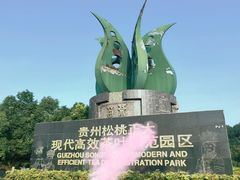 -雁南飞茶田景区