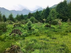 -硗碛藏寨·神木垒景区