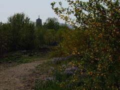 -永定河休闲森林公园