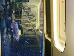 -紫滇源云南生态菜(丹凤街店)