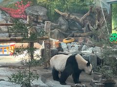 -武汉动物园
