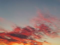 -首都医科大学附属北京天坛医院