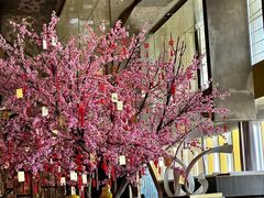 -金轩中餐厅 Jin Xuan(浦东丽思卡尔顿酒店)