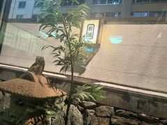 -蟹料理 北海道かに将軍(札幌本店)