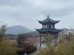 -江南天池