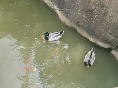 -海合安武汉极地海洋公园
