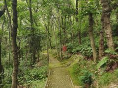 -上海佘山国家森林公园天马山园