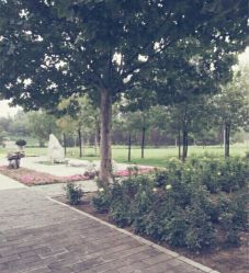 -大望京儿童游乐场