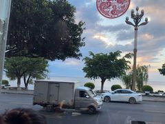 -野菌皇海景野生菌火锅(滨海大道店)