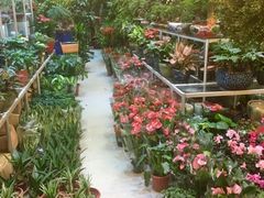 -双季花艺园艺市场(浦东店)