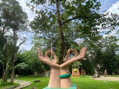 -瑞丽独树成林风景区