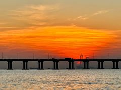 -宝安西湾红树林湿地公园