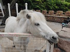 -金庭庄园酒店-停车场