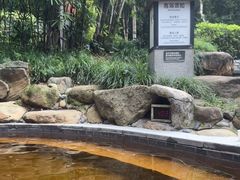 -融汇温泉