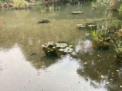 -蝴蝶泉公园
