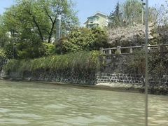 -运河游船(武林门码头)