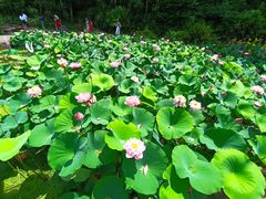 -广州莲花山旅游区