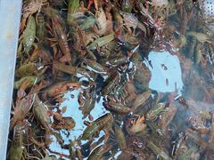 -拙味兄弟龙虾·江湖菜(和畅堂店)