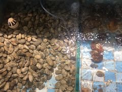 -四海蒸鲜蒸汽海鲜自助(北戴河店)