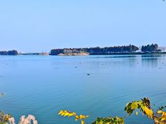-贡湖湾湿地公园