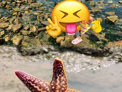 -巧克力渔家.小船海鲜家常菜(万平口店)