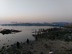 -烟墩角天鹅湖