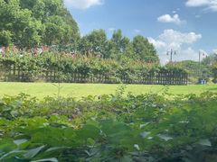 -潮府馆·非遗潮州菜·港式点心(世纪公园店)