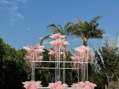 -东南花都花博园