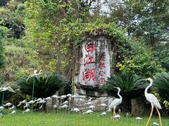 -广州白江湖森林公园