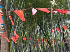 -金水泊山庄·花椒鸡(铁山坪店)