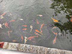 -九龙池景区