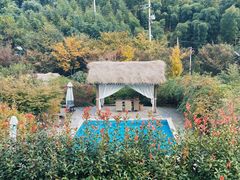 -看见远方·莫干遥远的山民宿