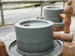 -前小桔亲子创意农场·草莓采摘·露营烧烤