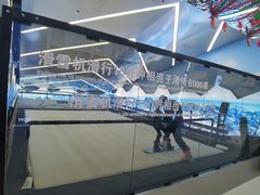 -Hopo Snow 城市滑雪空间(滨江宝龙城店)