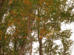 -野鸭湖国家湿地公园