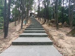 -火炉山森林公园