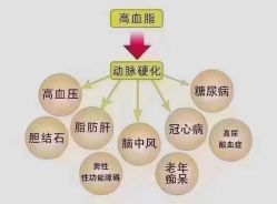 -香薇妮丝女子减肥院