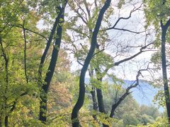 -广州市石门国家森林公园