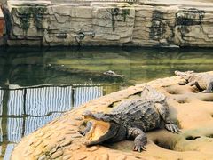 -石家庄市动物园