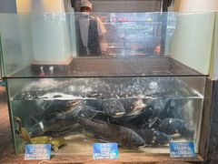 -上名堂·鱼头好吃(体育场路店)