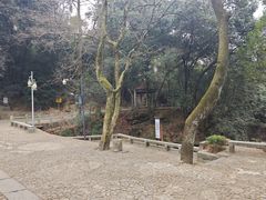 -白鹿洞书院