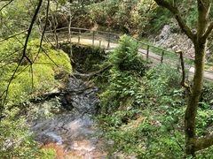 -东天目山风景区