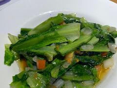 洋葱番茄炝油麦菜-胖老汉椒麻鸡清真新疆菜(西御街店)