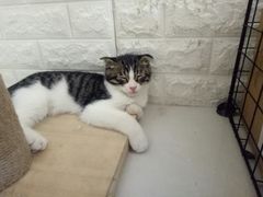 -平行世界·猫咖(首经贸店)
