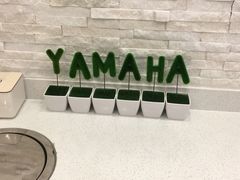 -雅马哈音乐中心 钢琴双排键鼓吉他(静安大融城店)