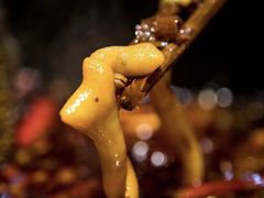 -练掌门·火锅&烧烤&烤鱼(北亭店)