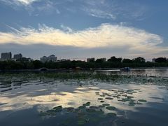 -刘小忙把子肉(北园大街总店)